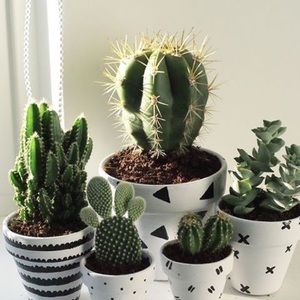 SHIPPING INFORMATION